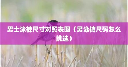 男士泳裤尺寸对照表图（男泳裤尺码怎么挑选）