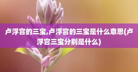 卢浮宫的三宝,卢浮宫的三宝是什么意思(卢浮宫三宝分别是什么)
