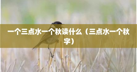 一个三点水一个秋读什么（三点水一个秋字）