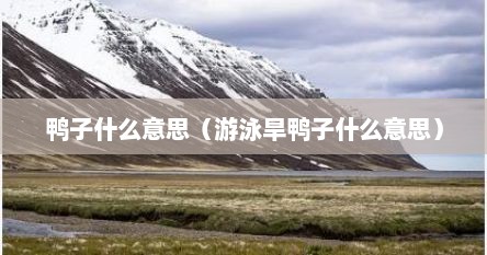 鸭子什么意思（游泳旱鸭子什么意思）