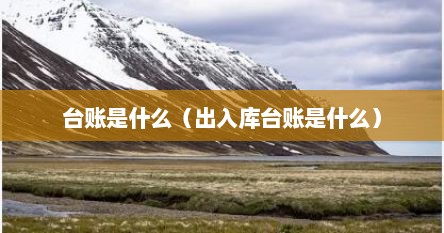 台账是什么（出入库台账是什么）