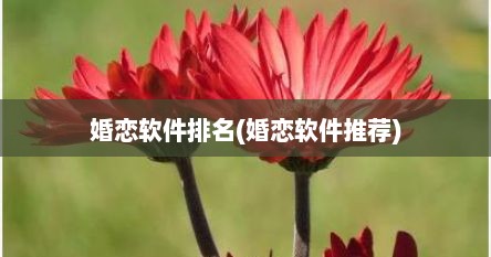 婚恋软件排名(婚恋软件推荐)