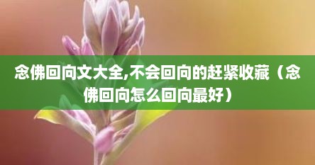 念佛回向文大全,不会回向的赶紧收藏（念佛回向怎么回向最好）