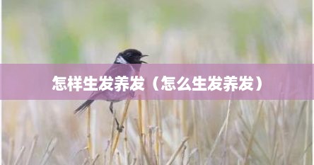 怎样生发养发（怎么生发养发）