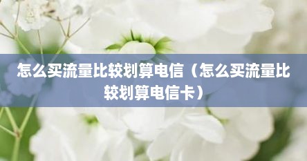 怎么买流量比较划算电信（怎么买流量比较划算电信卡）