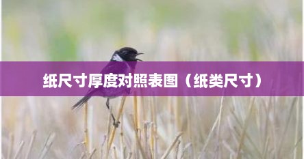 纸尺寸厚度对照表图（纸类尺寸）
