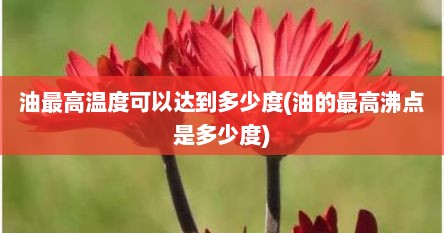 油最高温度可以达到多少度(油的最高沸点是多少度)