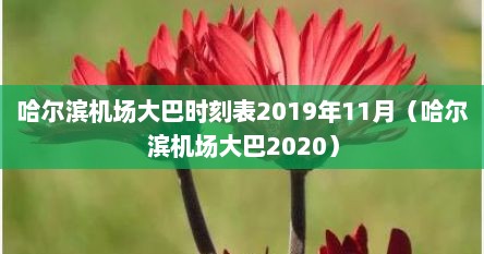 哈尔滨机场大巴2020时刻表几点发哈尔滨飞机场（哈尔滨机场大巴发车时间表）