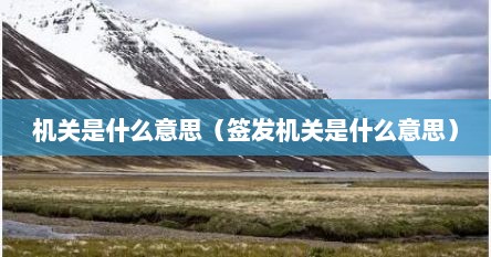 机关是什么意思通俗易懂（机关全称是什么意思）