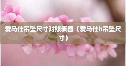 爱马仕吊坠尺寸对照表图（爱马仕h吊坠尺寸）
