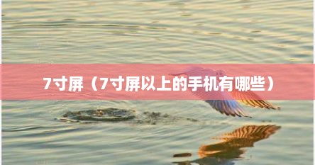 7寸屏（7寸屏以上的手机有哪些）