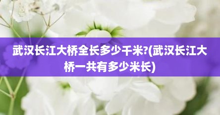 武汉长江大桥全长多少千米?(武汉长江大桥一共有多少米长)