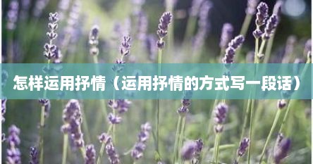 怎样运用抒情（运用抒情的方式写一段话）
