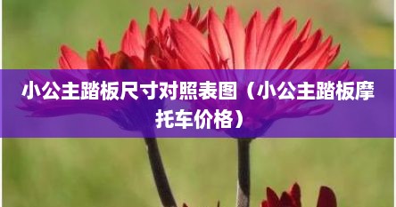 小公主踏板尺寸对照表图（小公主踏板摩托车价格）