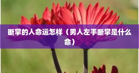 断掌的人命运怎样（男人左手断掌是什么命）