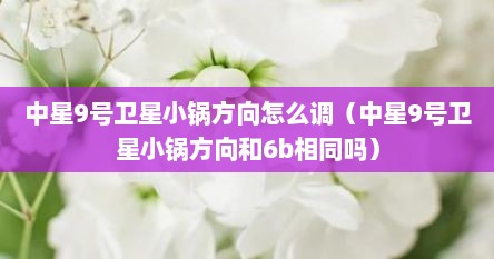 中星9号卫星小锅方向怎么调（中星9号卫星小锅方向和6b相同吗）