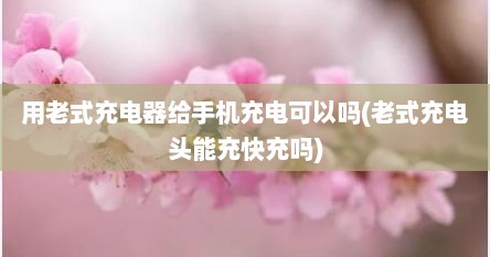 用老式充电器给手机充电可以吗(老式充电头能充快充吗)