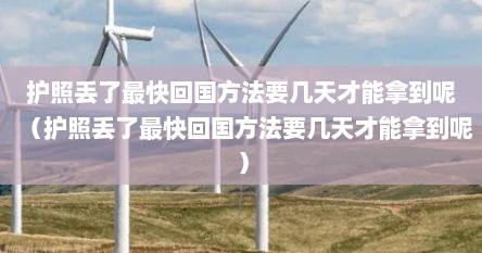 护照丢了马上要坐飞机出国怎么办（护照丢了怎么补回加拿大签证）