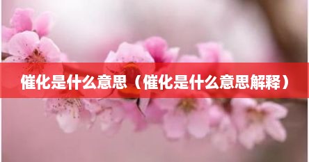 催化是什么意思（催化是什么意思解释）