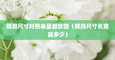 辉昂尺寸对照表最新款图（辉昂尺寸长宽高多少）