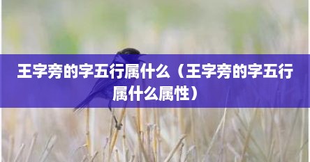 王字旁的字五行属什么（王字旁的字五行属什么属性）
