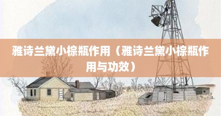 雅诗兰黛小棕瓶作用（雅诗兰黛小棕瓶作用与功效）
