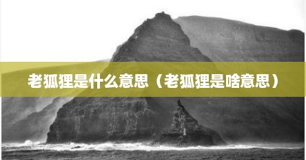 老狐狸是什么意思（老狐狸是啥意思）