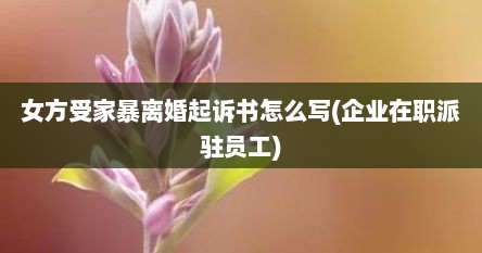 女方受家暴离婚起诉书怎么写(企业在职派驻员工)