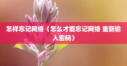 怎样忘记网络（怎么才能忘记网络 重新输入密码）