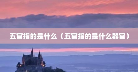五官指的是什么（五官指的是什么器官）