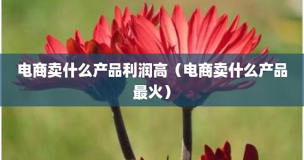 电商卖什么产品利润高（电商卖什么产品最火）