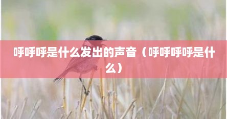 呼呼呼是什么发出的声音（呼呼呼呼是什么）