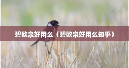 碧欧泉好用么（碧欧泉好用么知乎）