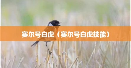 赛尔号白虎（赛尔号白虎技能）