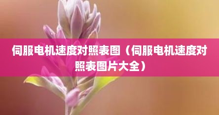 伺服电机速度对照表图（伺服电机速度对照表图片大全）