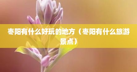 枣阳有哪些景点（枣阳有什么地方比较好玩）