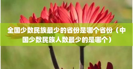 全国少数民族最少的省份是哪个省份（中国少数民族人数最少的是哪个）