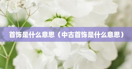 首饰是什么意思（中古首饰是什么意思）