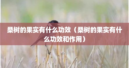 桑树的果实有什么功效（桑树的果实有什么功效和作用）
