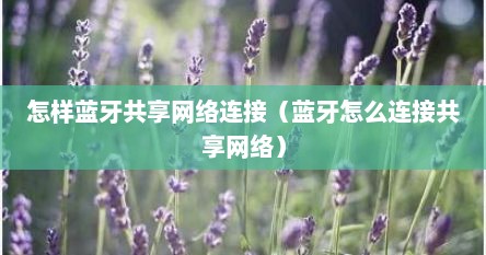 怎样蓝牙共享网络连接（蓝牙怎么连接共享网络）