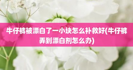 牛仔裤被漂白了一小块怎么补救好(牛仔裤弄到漂白剂怎么办)