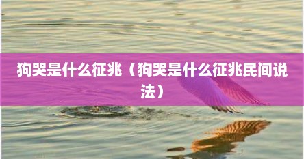 狗哭是什么征兆（狗哭是什么征兆民间说法）