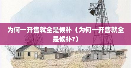 为何一开售就全是候补（为何一开售就全是候补?）