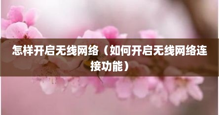 怎样开启无线网络（如何开启无线网络连接功能）