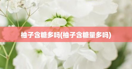 柚子含糖多吗(柚子含糖量多吗)