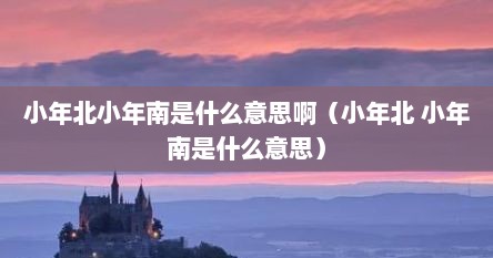 小年北小年南是什么意思啊（小年北 小年南是什么意思）