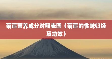 菊苣营养成分对照表图（菊苣的性味归经及功效）