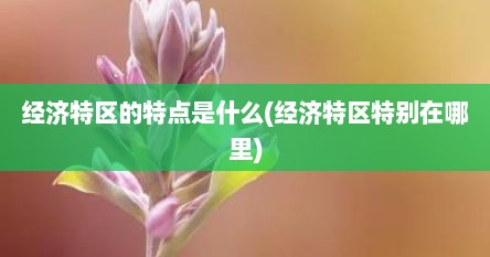 经济特区的特点是什么(经济特区特别在哪里)