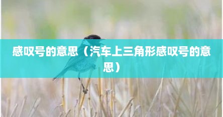 感叹号的意思（汽车上三角形感叹号的意思）