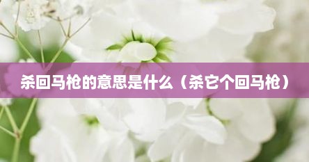 杀回马枪的意思是什么（杀它个回马枪）